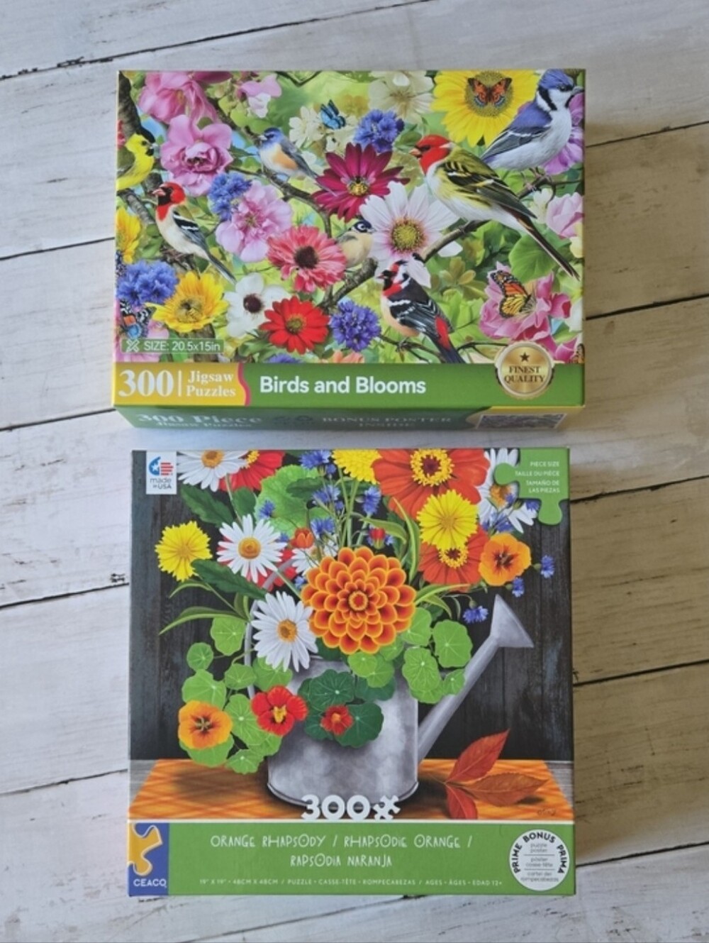 2 Puzzles - Birds and Blooms / Orange Rhapsody 300-Piece Puzzle Sets
